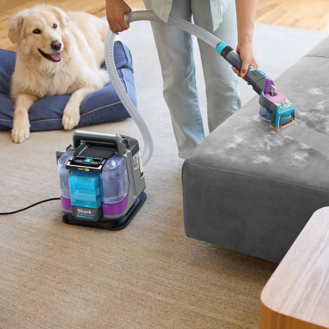 Ultimate Shark Cleaning Bundle - Image 4